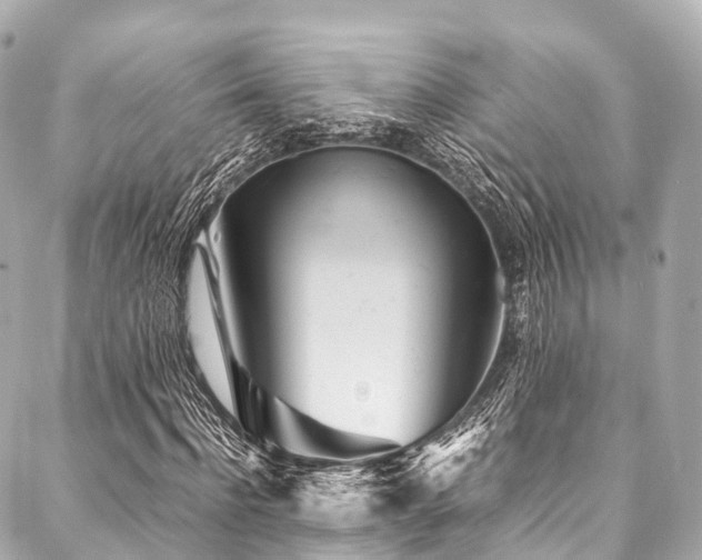 X0000088090916200705111500