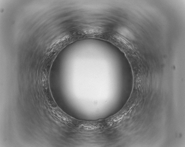 X0000088090917200705111500