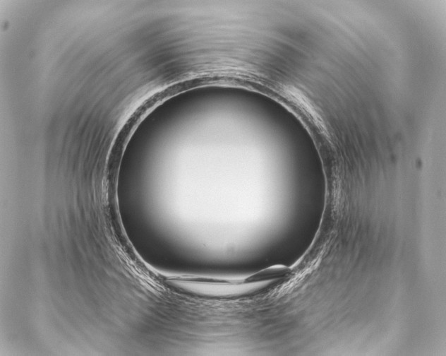 X0000088090924200705111500