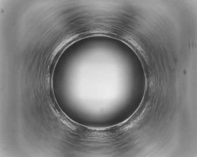 X0000088090933200705111500