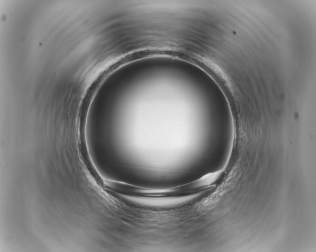 X0000088090935200705111500