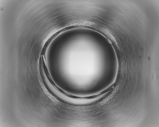 X0000088090936200705111501
