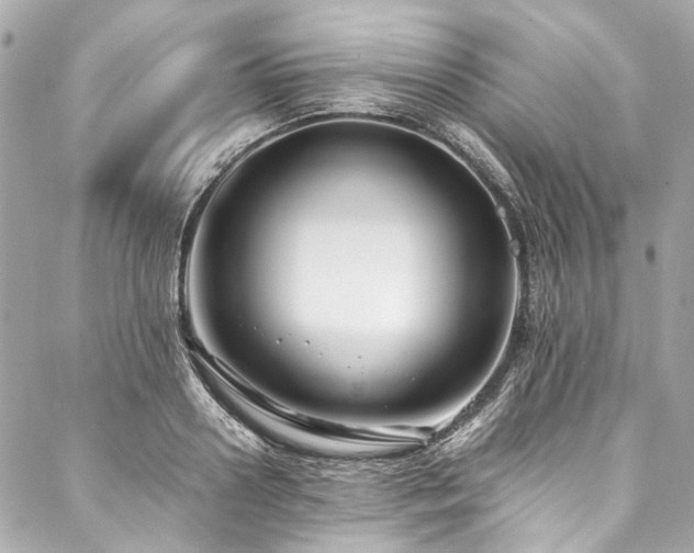 X0000088090938200705111501