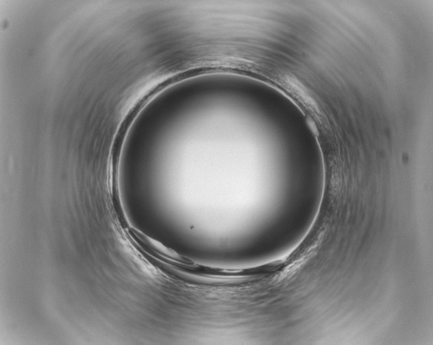 X0000088090940200705111501