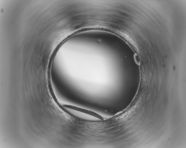 X0000088090943200705111501