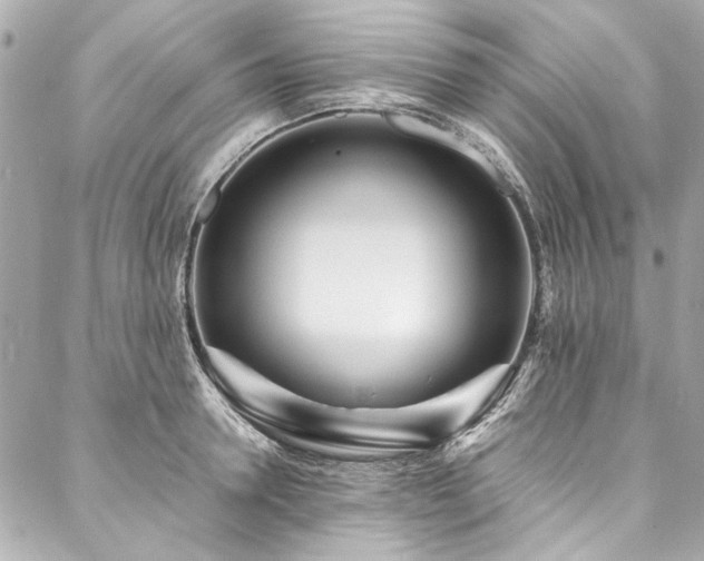 X0000088090946200705111501