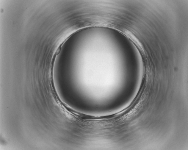 X0000088090956200705111501