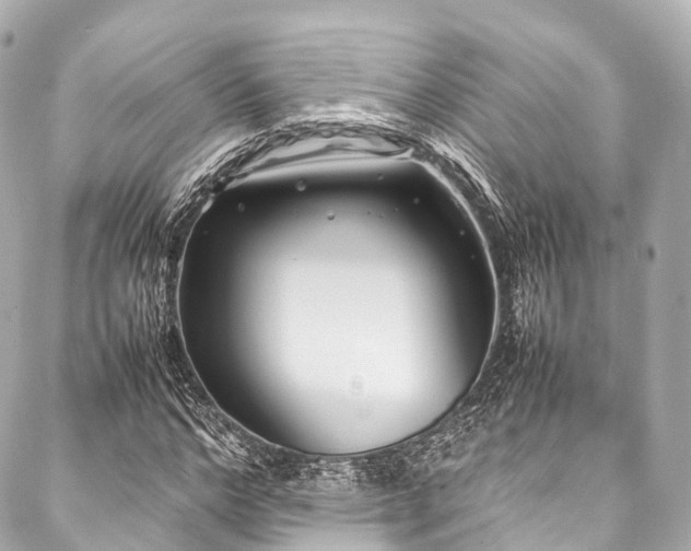 X0000088090968200705111500