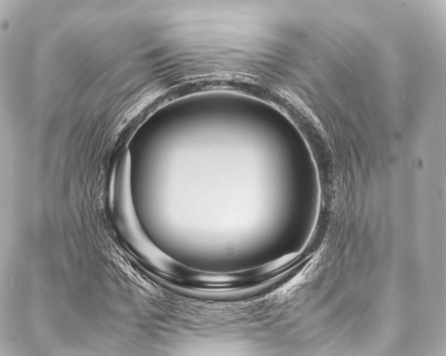 X0000088090969200705111500