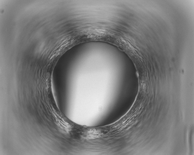 X0000088091012200705111459