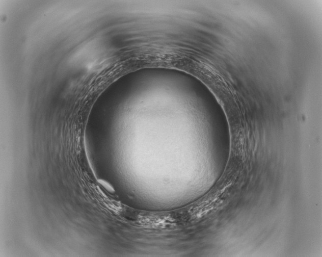 X0000088091013200705111459