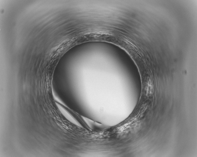 X0000088091014200705111459