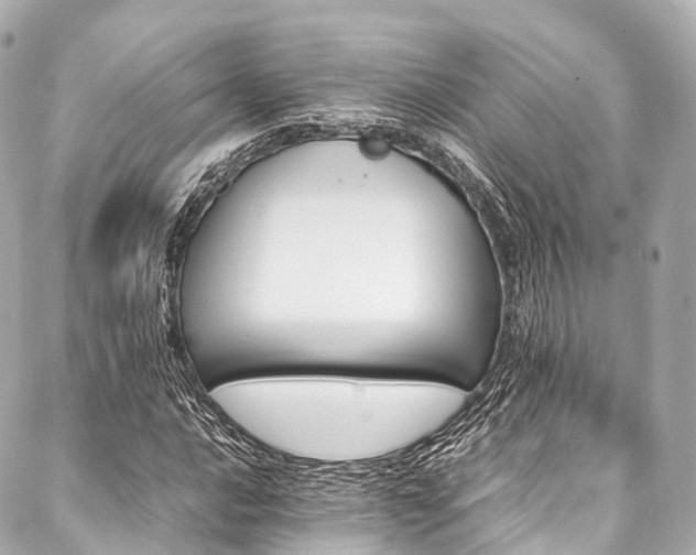 X0000088091016200705111459