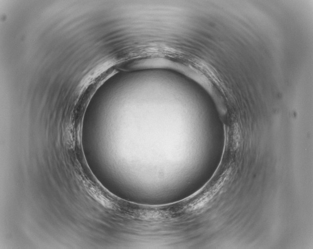 X0000088091018200705111459