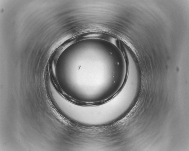 X0000088091026200705111459