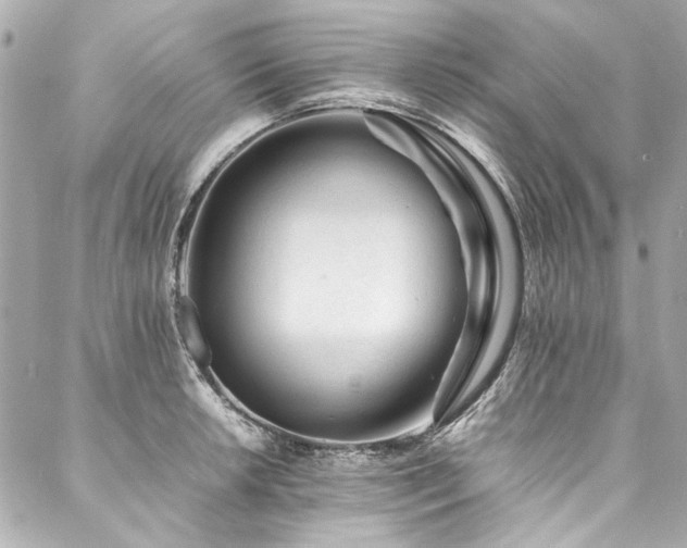 X0000088091042200705111459