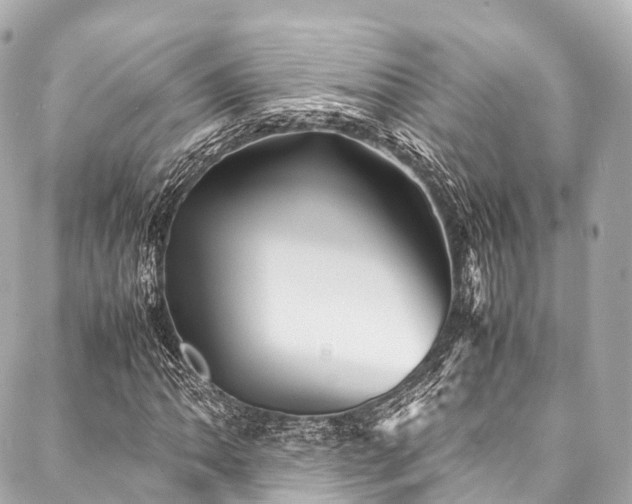 X0000088091062200705111458