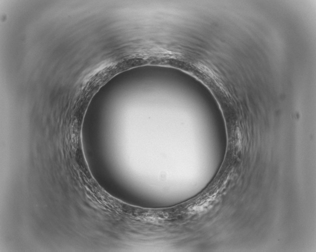X0000088091063200705111458