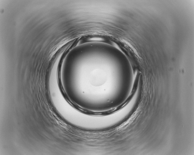 X0000088091065200705111458
