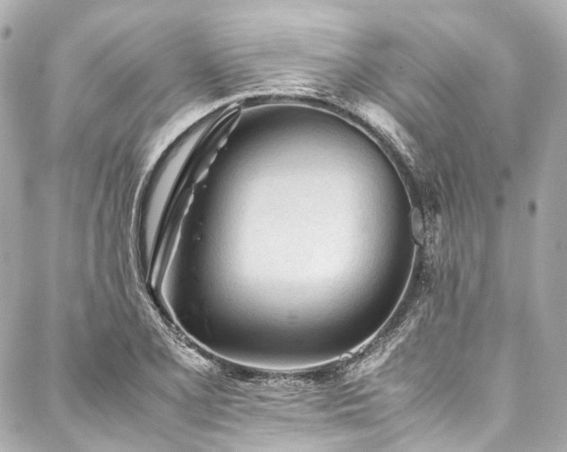 X0000088091077200705111458