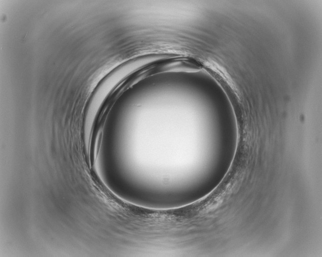 X0000088091081200705111458
