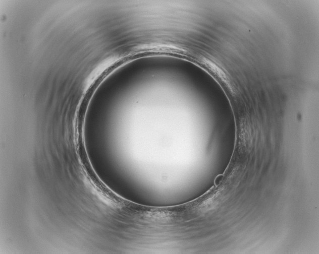 X0000088091082200705111458