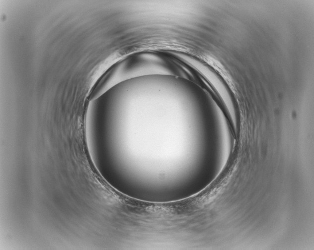 X0000088091089200705111458