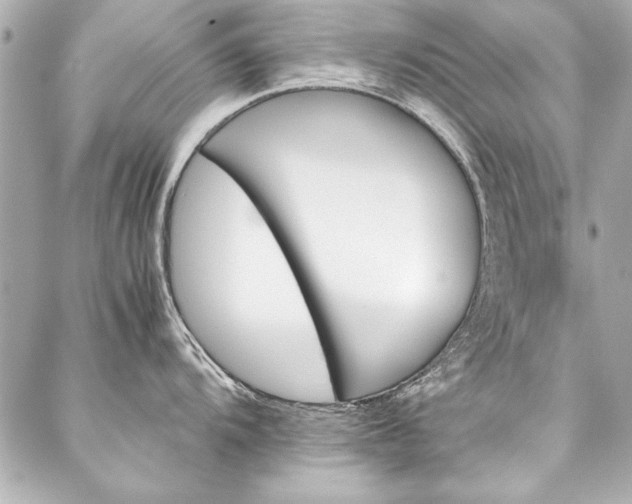 X0000088091104200705111458
