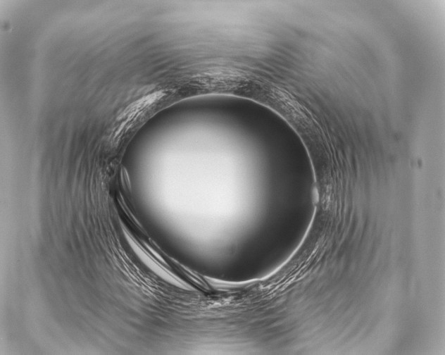X0000088091108200705111457