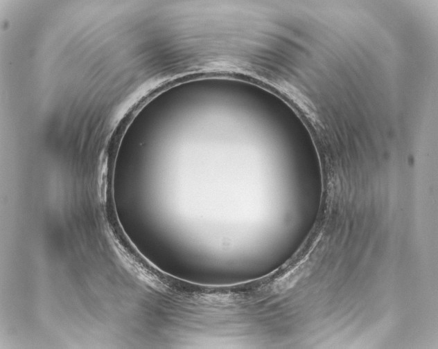 X0000088091126200705111457