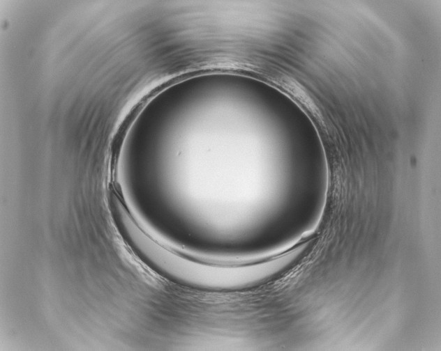 X0000088091132200705111457