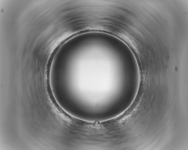 X0000088091133200705111457