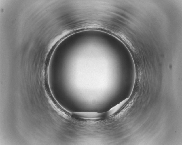 X0000088091134200705111457
