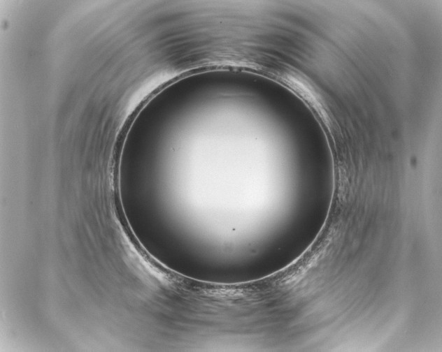 X0000088091141200705111458