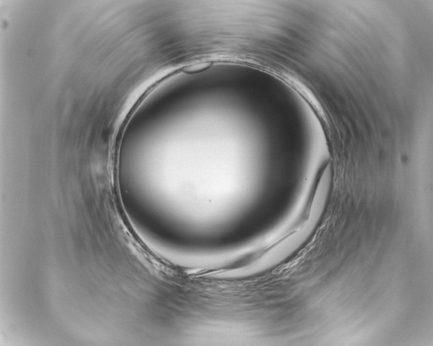 X0000088091148200705111458