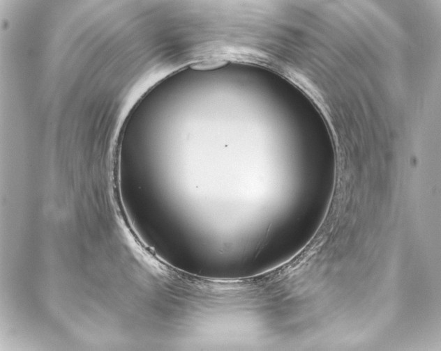 X0000088091152200705111458