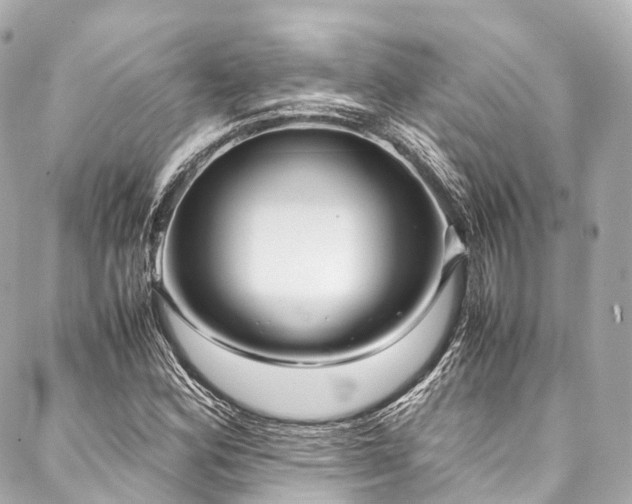 X0000088091164200705111457