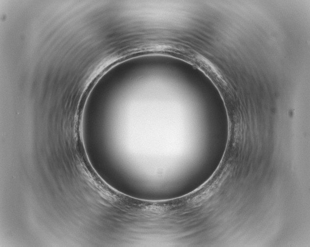 X0000088091178200705111457