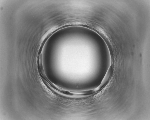 X0000088091181200705111457