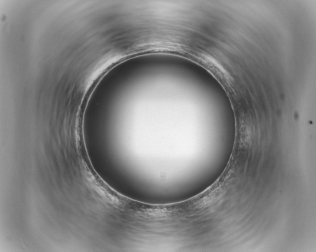 X0000088091182200705111457