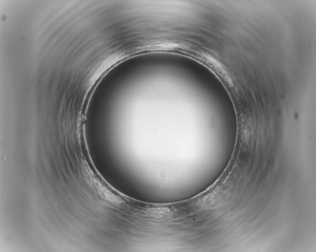X0000088091186200705111456
