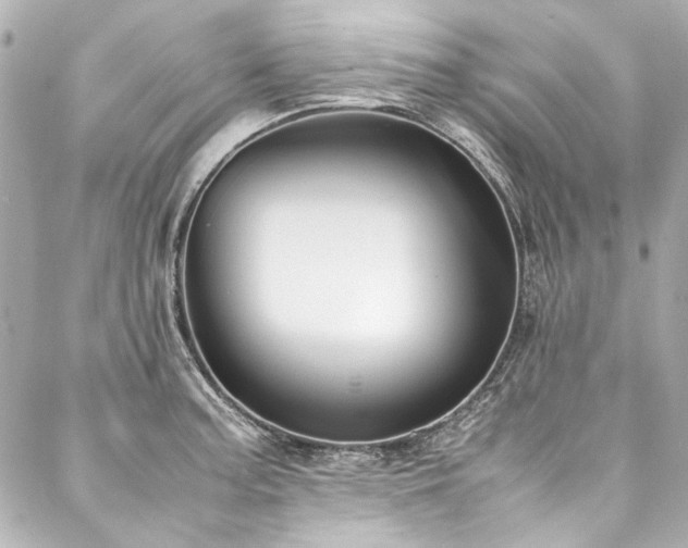 X0000088091187200705111456