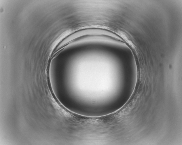 X0000088091189200705111456