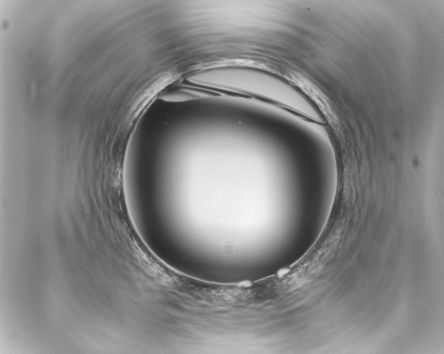 X0000088091193200705111456