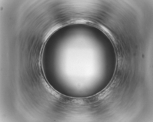 X0000088091194200705111456