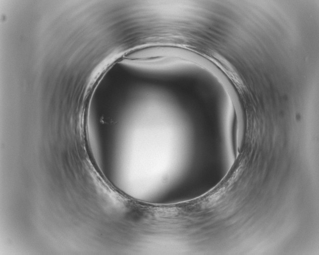 X0000088091196200705111456