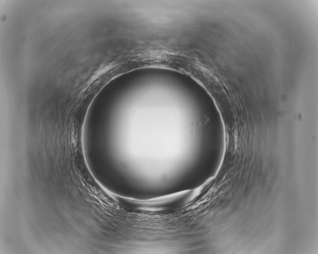 X0000088091206200705111456
