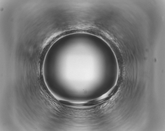 X0000088091214200705111456