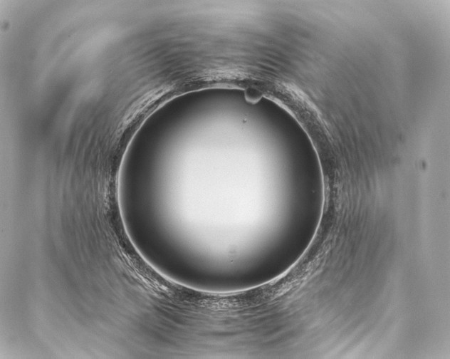 X0000088091217200705111456