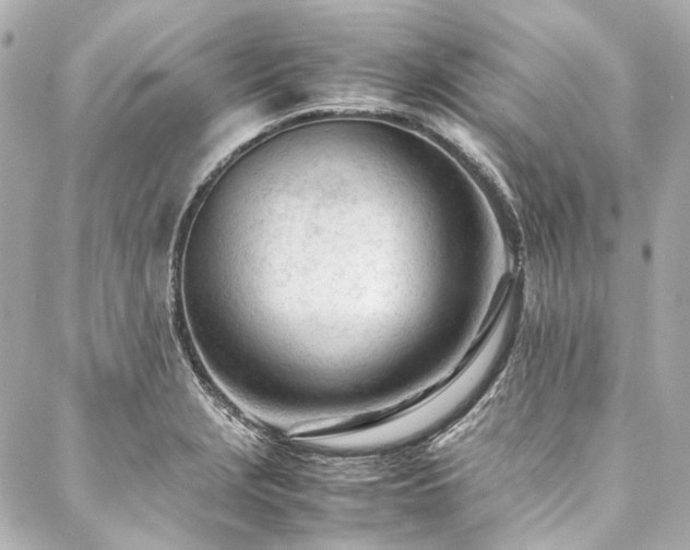 X0000088091229200705111456